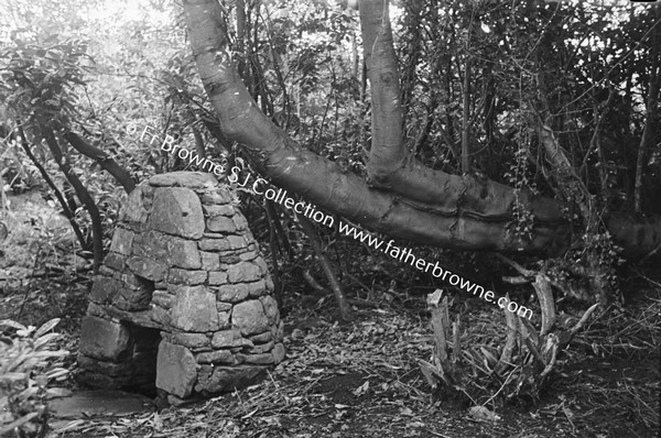 HOLY WELL